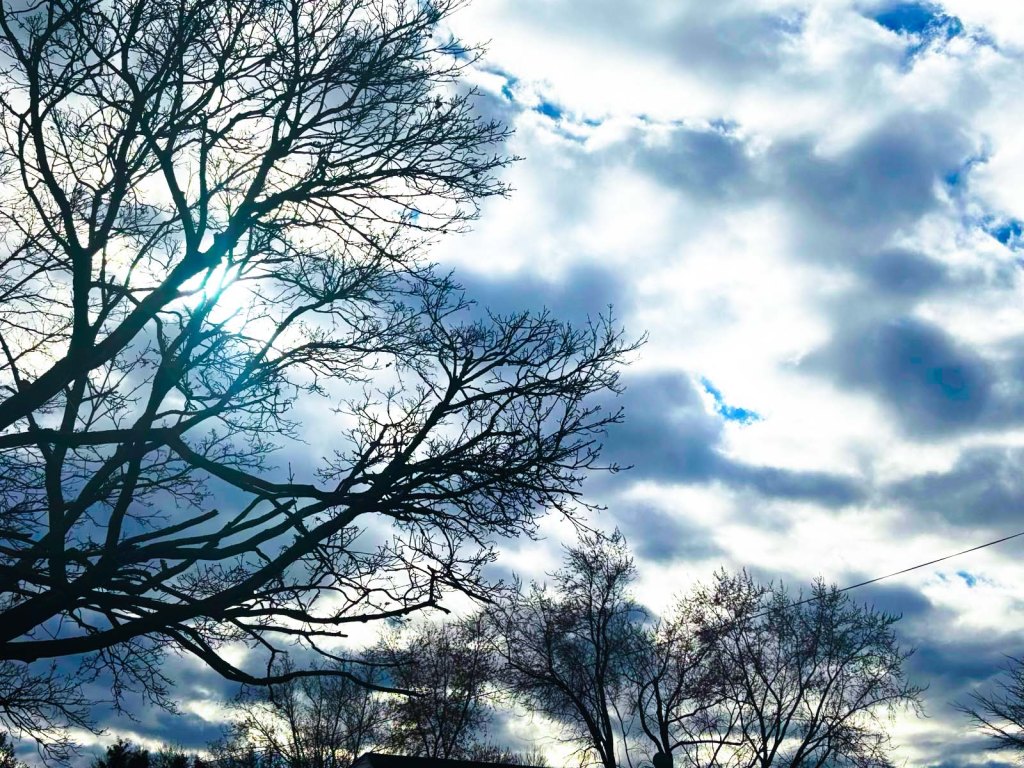 Young Minds Through&nbsp;Lenses